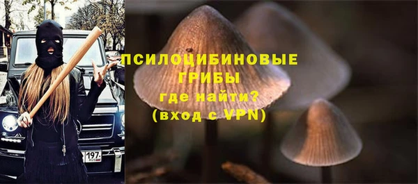 героин Алексин
