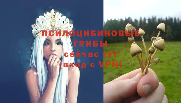 героин Алексин