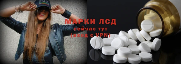 хмурый Алзамай