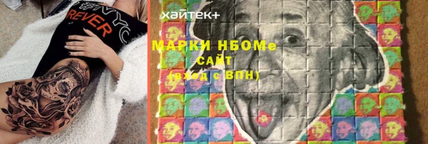 хмурый Алзамай