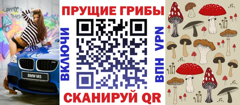 Псилоцибиновые грибы ЛСД  Петрозаводск 